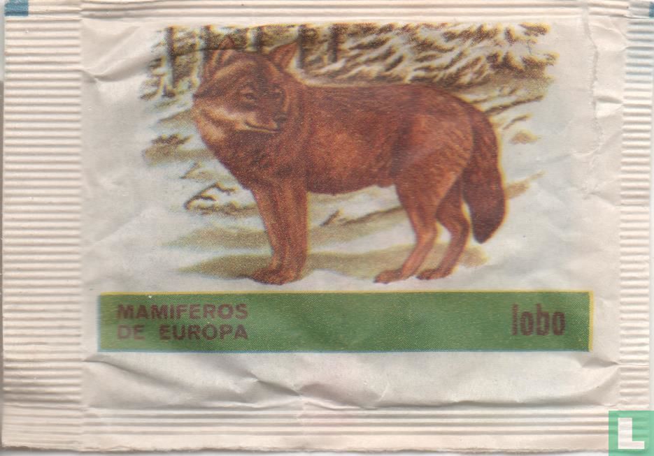 Lobo