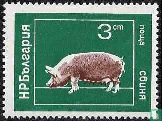 Boerderijdieren