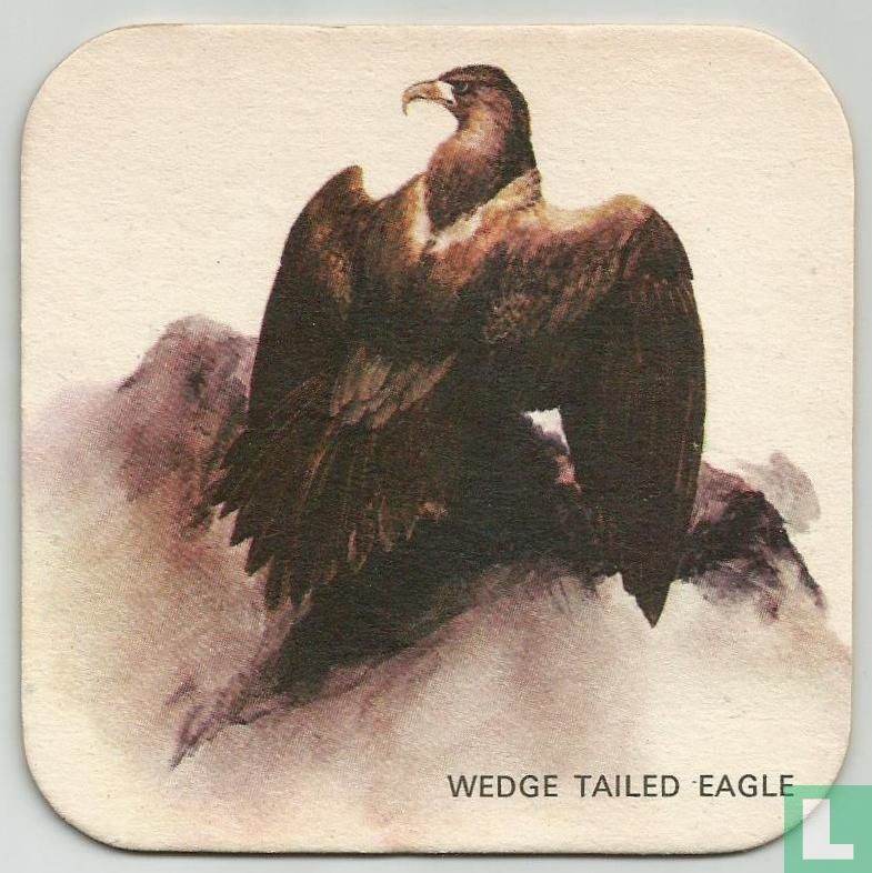 Wedge tailed eagle