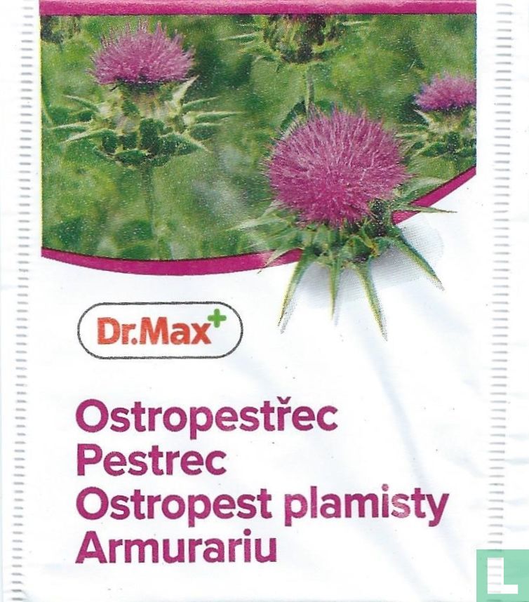 Ostropestrec