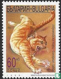 Chats   