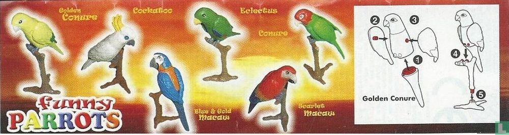 Scarlet Macaw