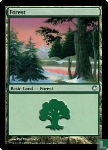 Forest  