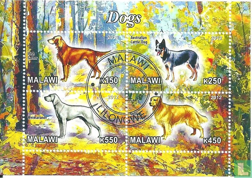 Dogs