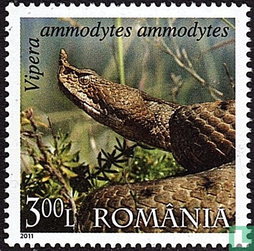 Reptiles