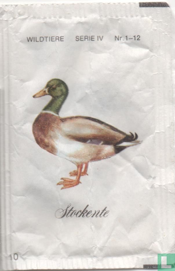 Stockente