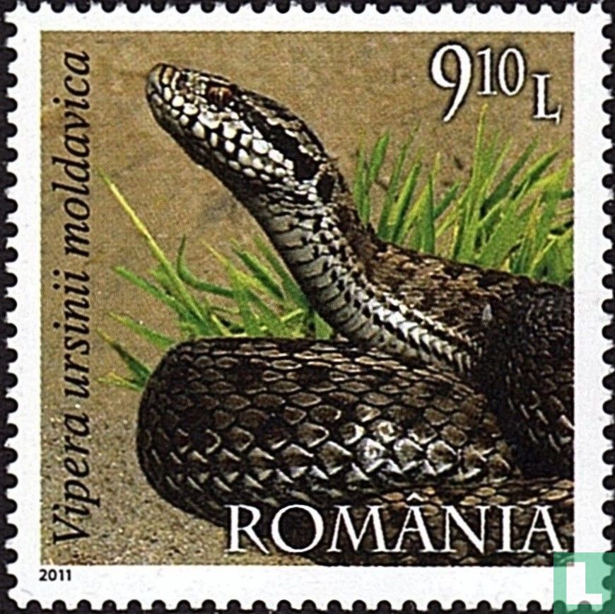 Reptiles