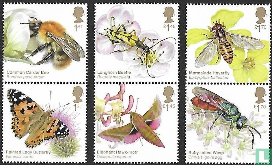 Insectes fantastiques