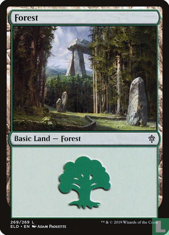 Forest