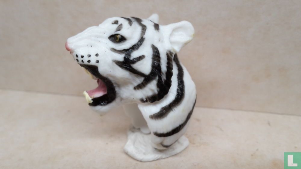 Ring tijger