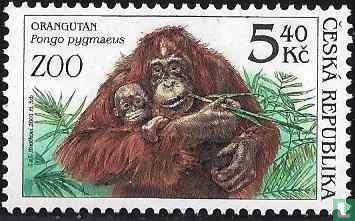 Protection de la nature