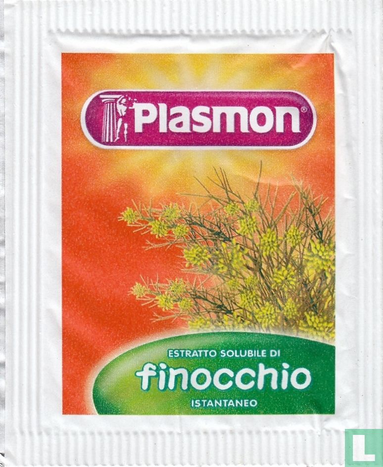 finocchio   
