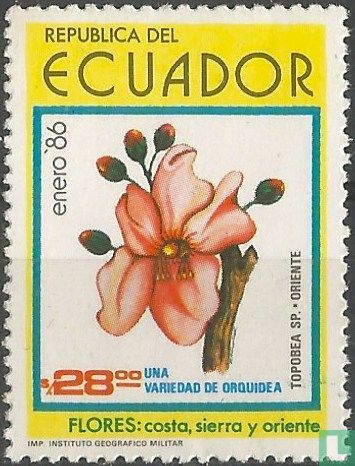 Fleurs indigènes