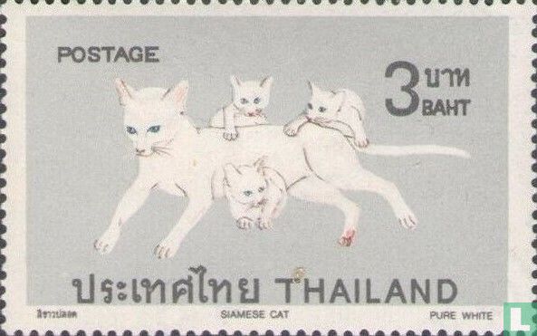 Katzen