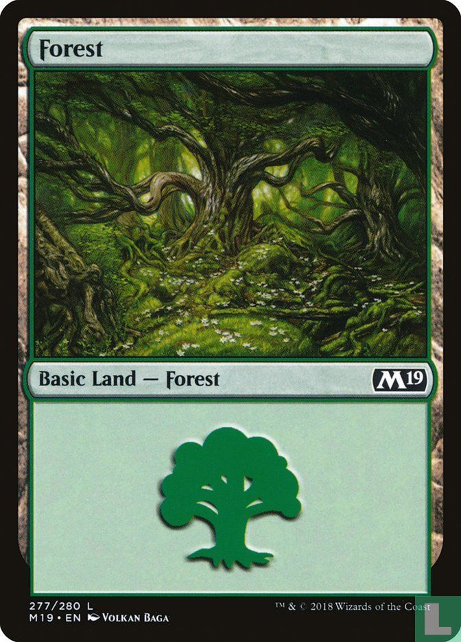 Forest