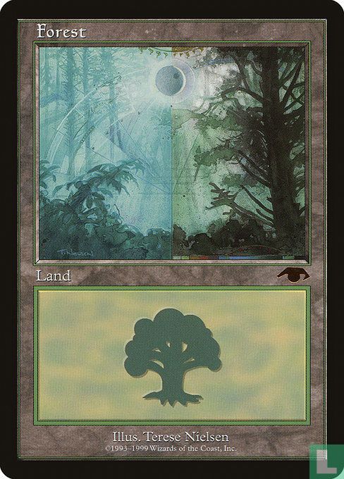 Forest