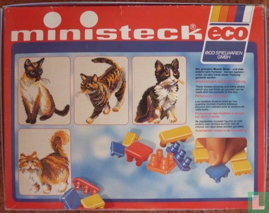 Katzen Cats Chats Katten