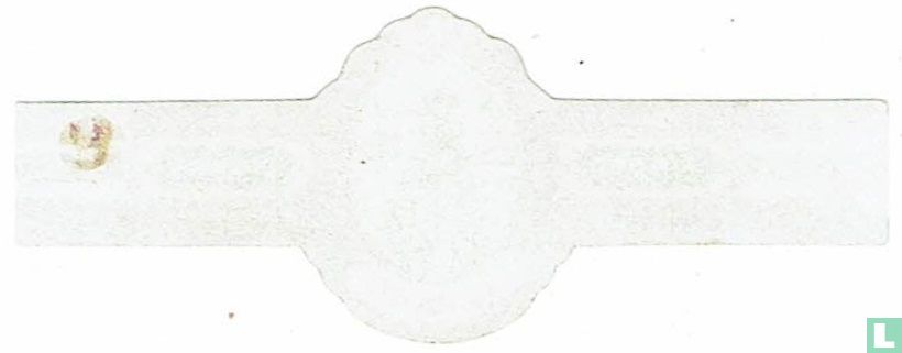 Elbaco - Feinste - Zigarren