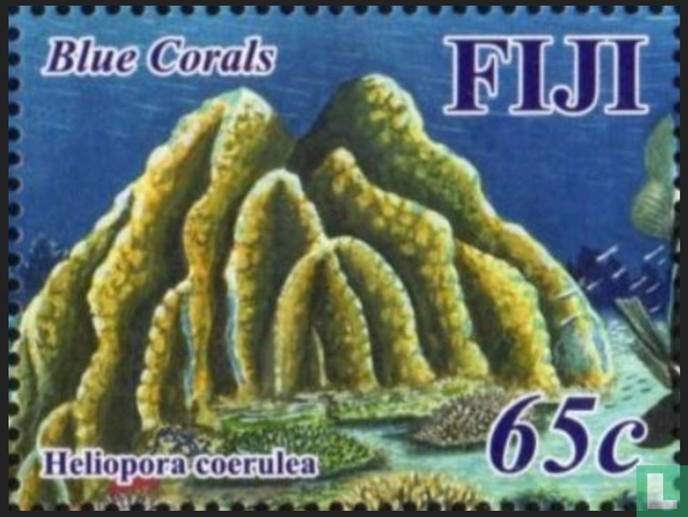 Blue coral