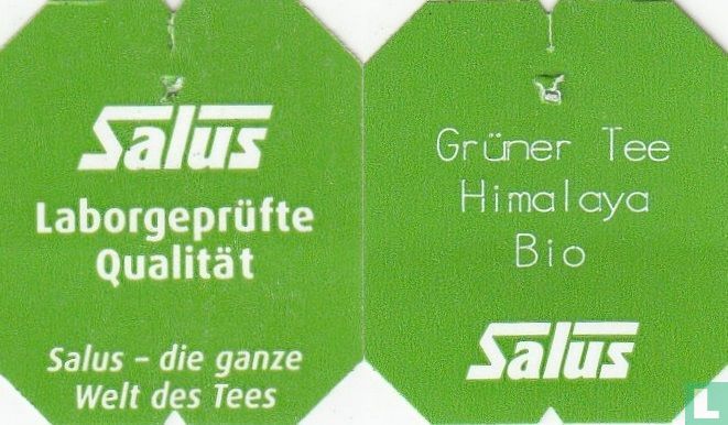 Grüner Tee Himalaya