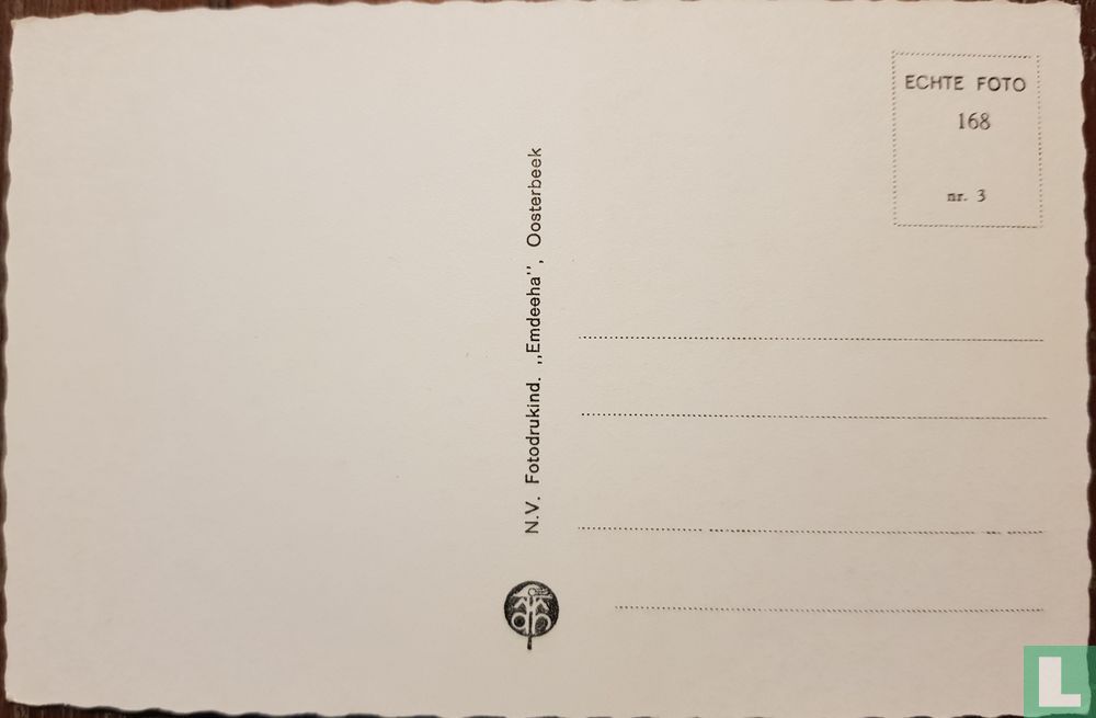 Bosgezicht
