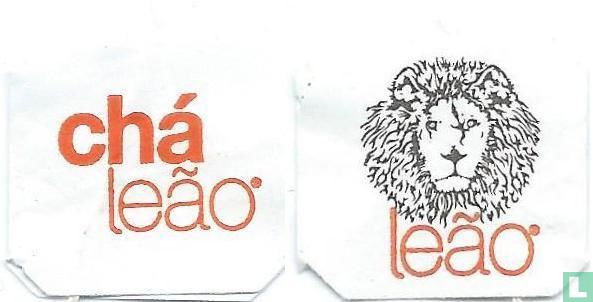 Capim-Cidreira 