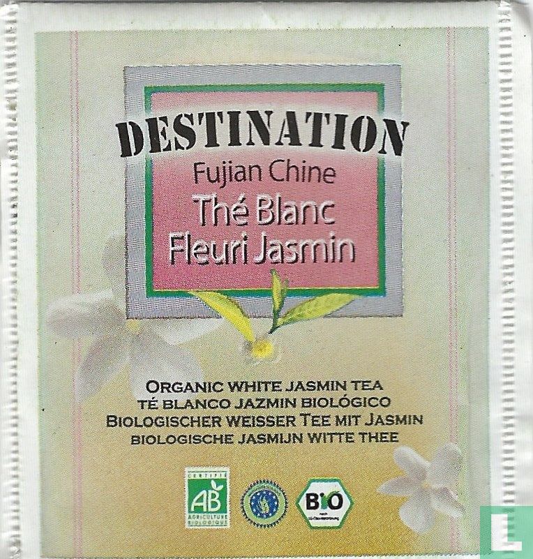 Thé Blanc Fleuri Jasmin