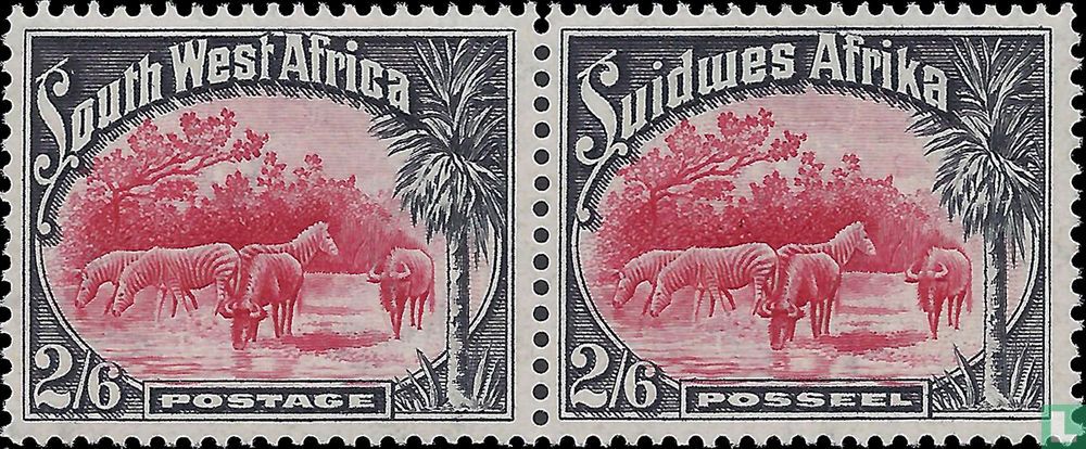 Zebras und Gnus