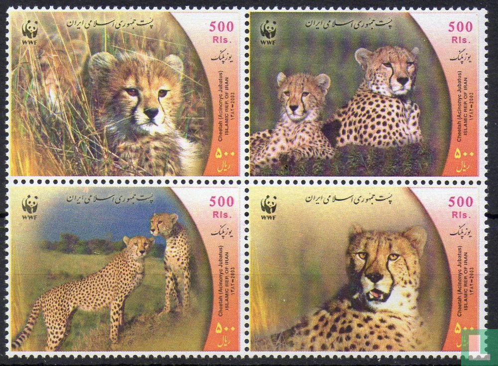 Gepard