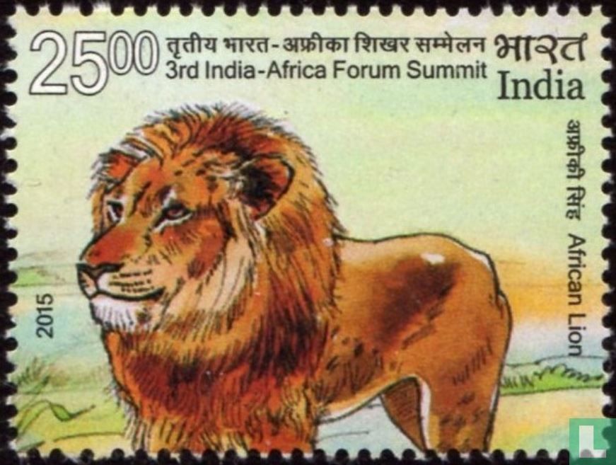 Lion d'Afrique