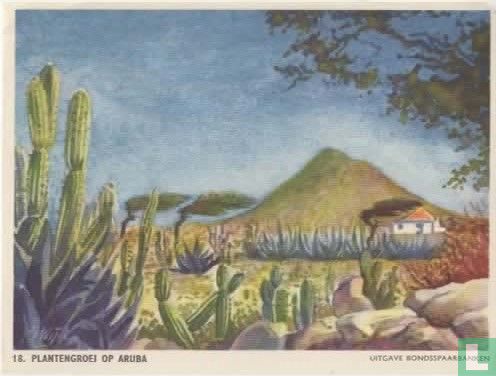 Plantengroei op Aruba