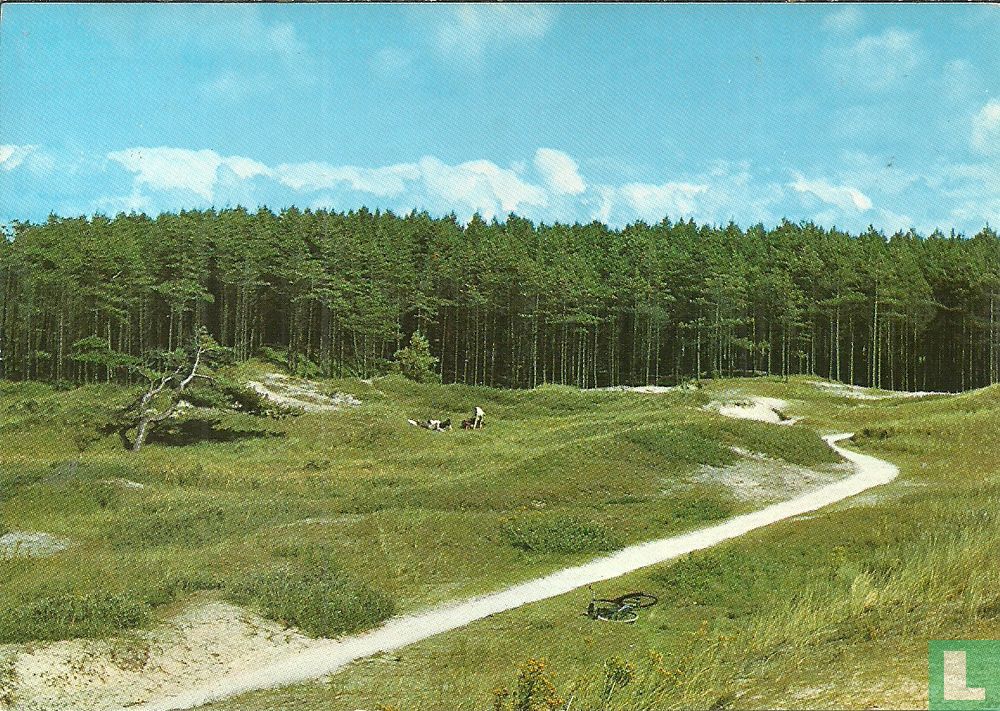 Groeten van het eiland Ameland