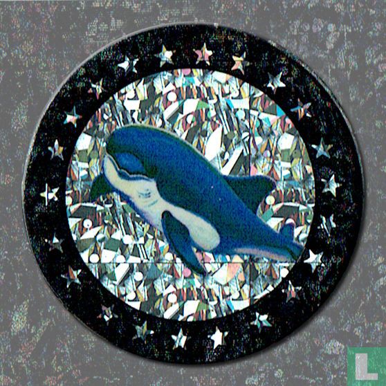 Orca