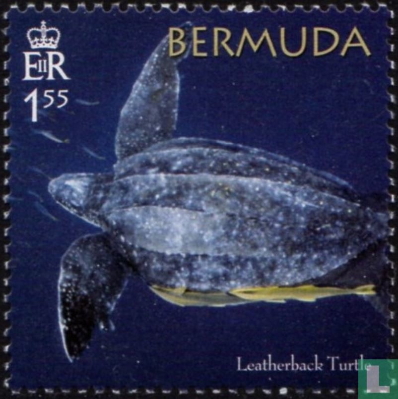 Protection des tortues