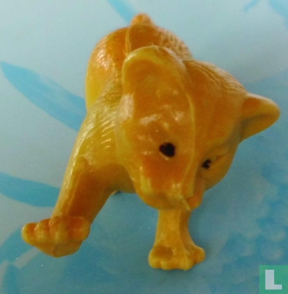 Lion cub