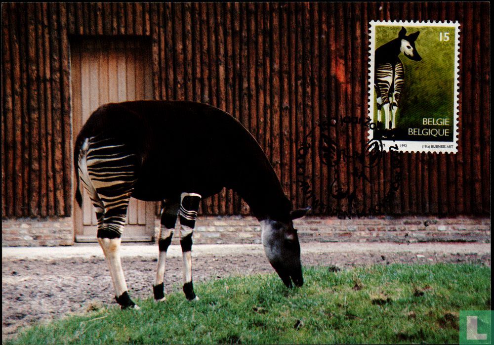 Antwerp Zoo