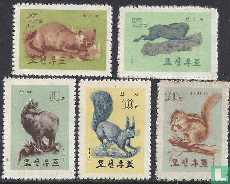Wild animals