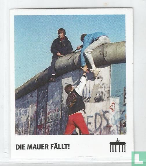 Die Mauer fällt!