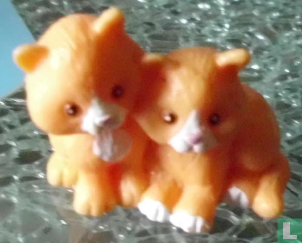 2 kittens