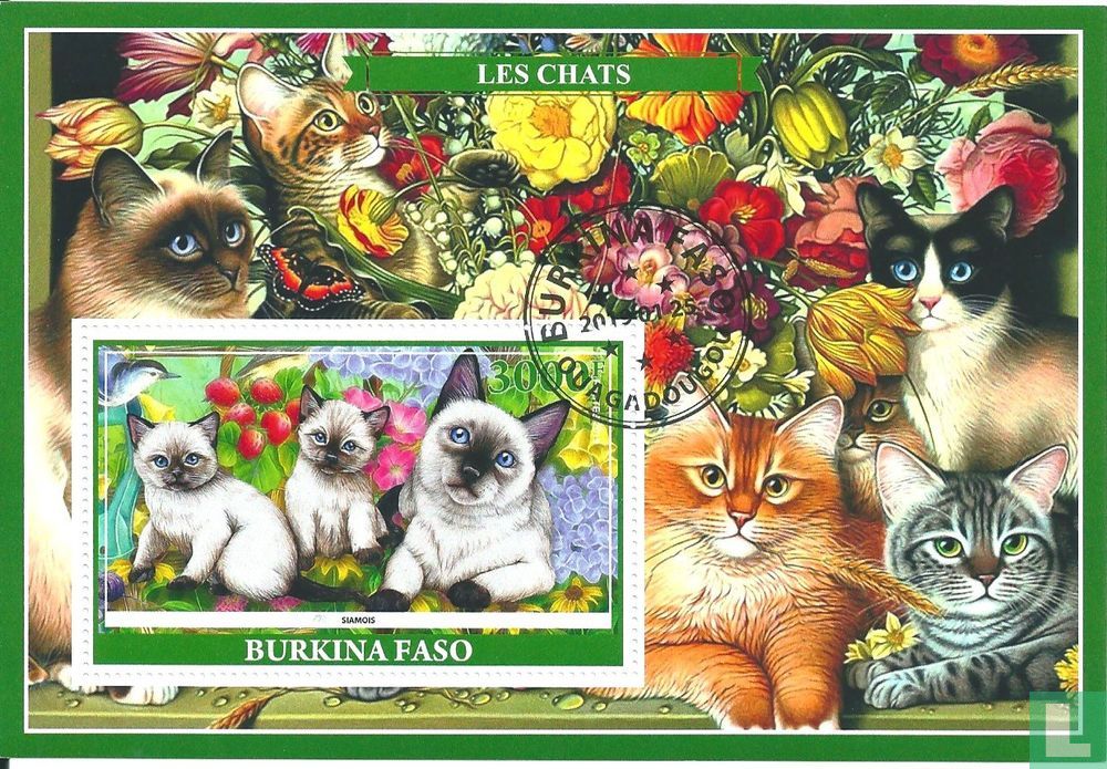 cats