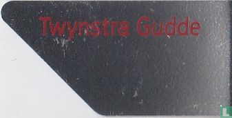 Twynstra Gudde  