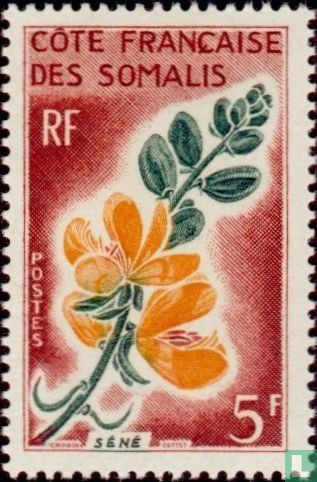 Bloemen