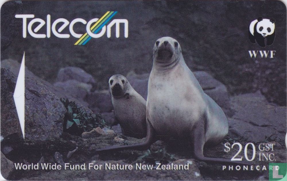 Hooker's Sea Lion