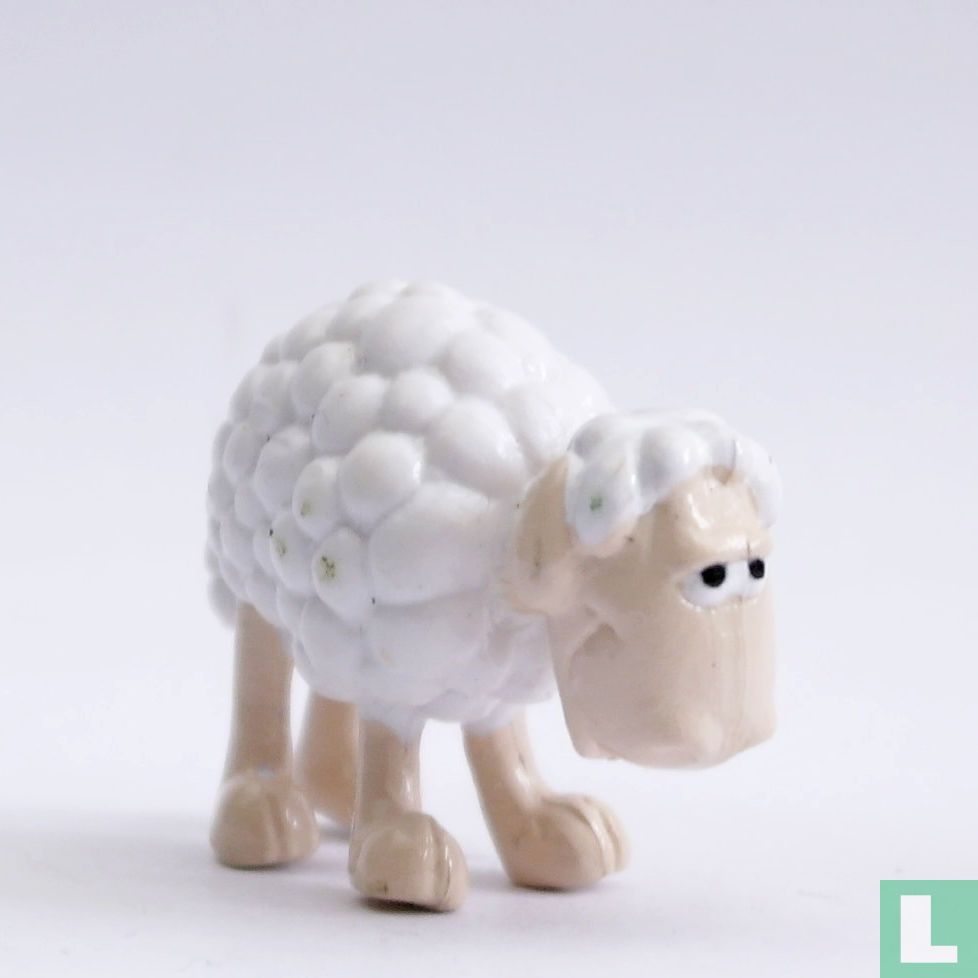 Schaap