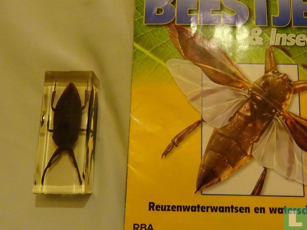 Echte beestjes & insecten 6