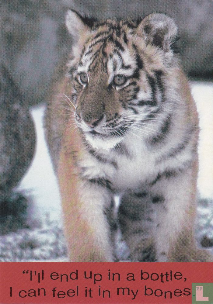 The Tiger Trust