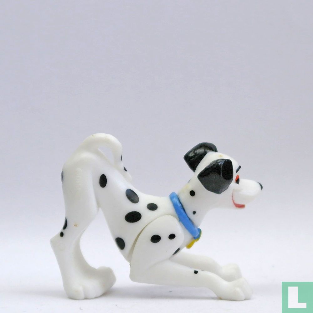 Pongo