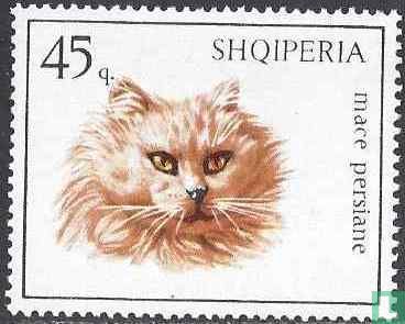 Chats