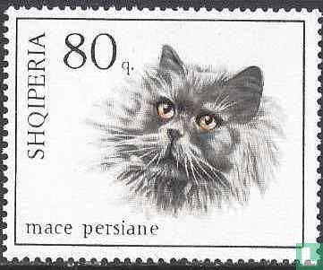 Chats 