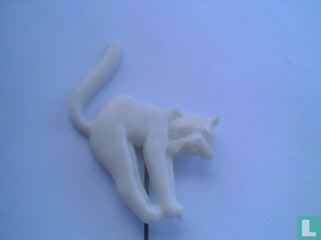Kat